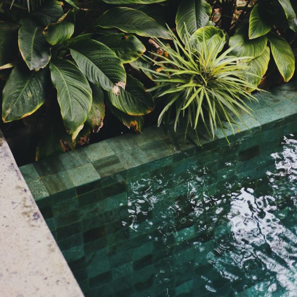 taylor-simpson-BRyJHPCyBlw-unsplash taylor-simpson-BRyJHPCyBlw-unsplash
